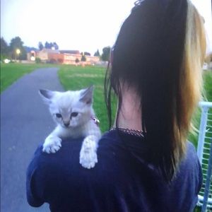 Meet your Posher, Nikki